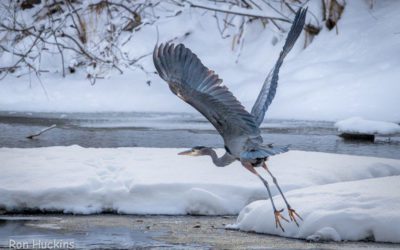 Happy Holidays from Beaver Watershed Alliance