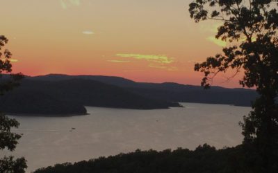 ANRC Litter Transport from designated Nutrient Surplus Area (NSA) in Arkansas