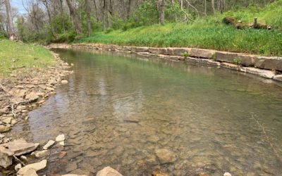 West Fork Stream Restoration Project