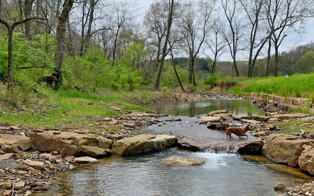 Implementing Best Management Practices in the West Fork of the White River