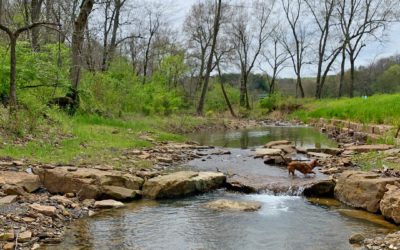 Implementing Best Management Practices in the West Fork of the White River