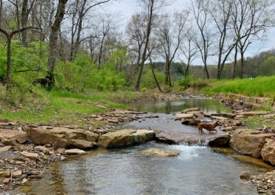 Implementing Best Management Practices in the West Fork of the White River