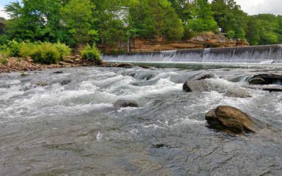West Fork Stream Restoration Monitoring