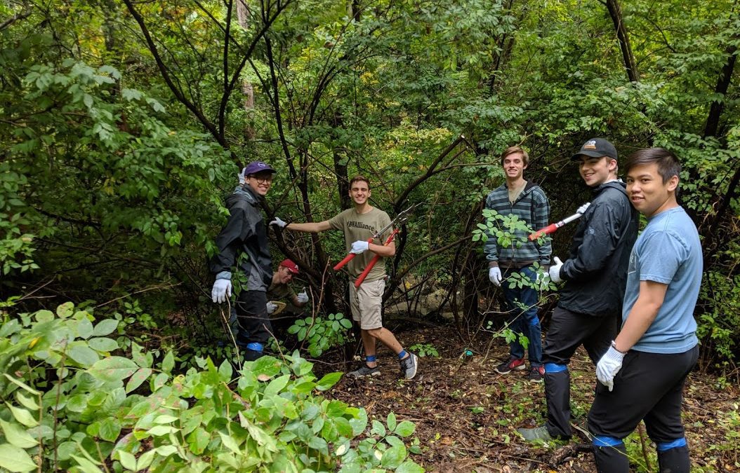 Lake Atalanta Invasive Plant Removal Event