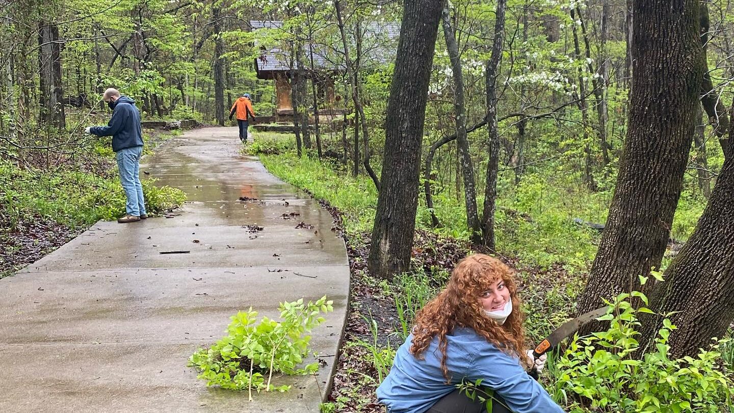 Volunteer at Invasive plant removal