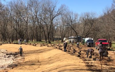 Spring 2022 Beaver Lake Watershed News