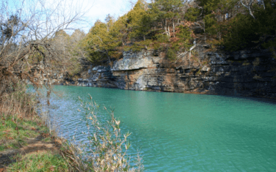 West Fork -White River Success Story!