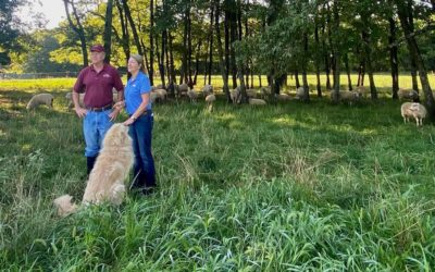 Conservation Champions: Local Farmer Highlight, Linda & Ken