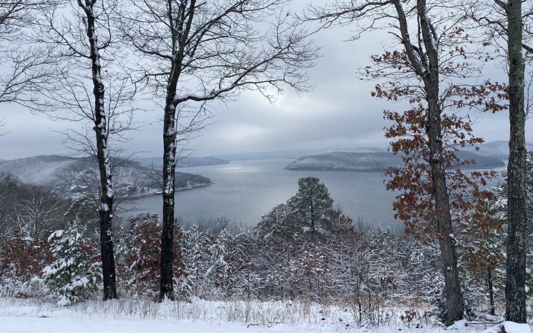 Winter 2023 Beaver Lake Watershed News