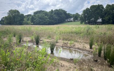 Watershed Successes – Nature Based Design