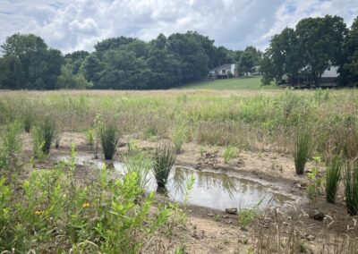 AN ECOLOGICALLY-BASED STORMWATER BMP