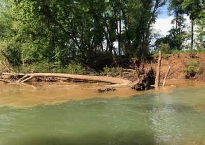 Beaver Lake Watershed Streambank Erosion & Barrier Assessment