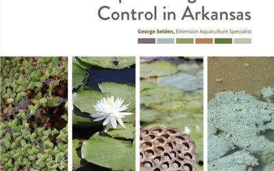 Aquatic Vegetation Control – Tips and Resources
