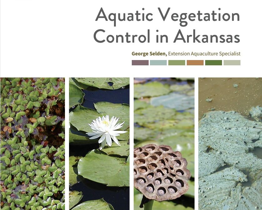 Aquatic Vegetation Control – Tips and Resources
