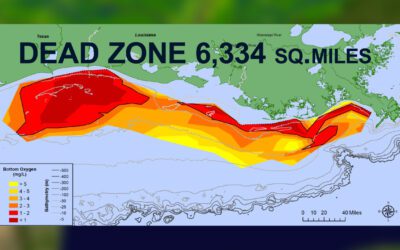 Gulf Hypoxia Grant awarded to Beaver Watershed Alliance