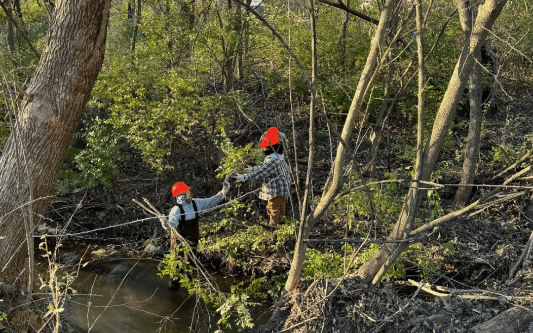 Connecting Communities to Urban Streams and Forests
