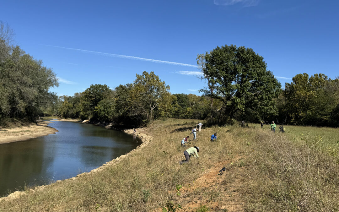 CommuniTree: Growing Roots Through Community Partnerships