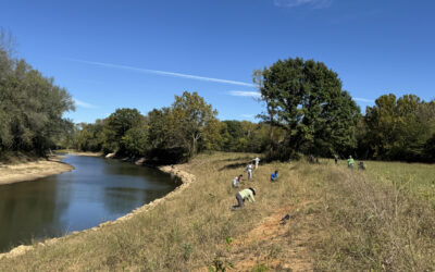 CommuniTree: Growing Roots Through Community Partnerships