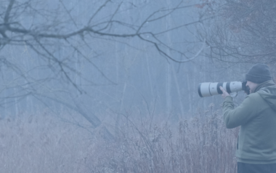 We’re Seeking Videography & Video Editing Services