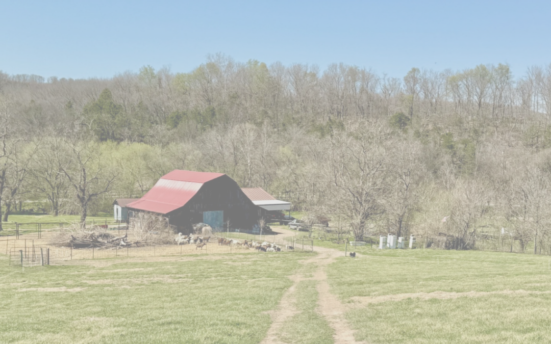 Beaver Watershed Alliance Highlights Local Farmers Focused on Conservation Efforts