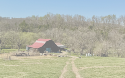 Beaver Watershed Alliance Highlights Local Farmers Focused on Conservation Efforts